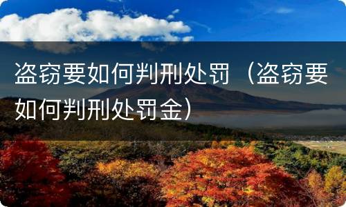 盗窃要如何判刑处罚（盗窃要如何判刑处罚金）