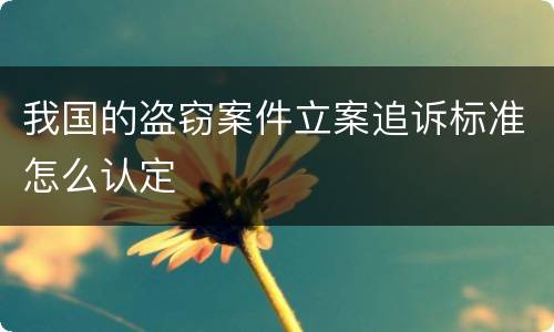 我国的盗窃案件立案追诉标准怎么认定