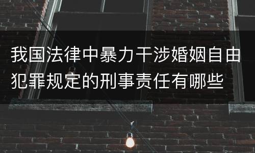 我国法律中暴力干涉婚姻自由犯罪规定的刑事责任有哪些