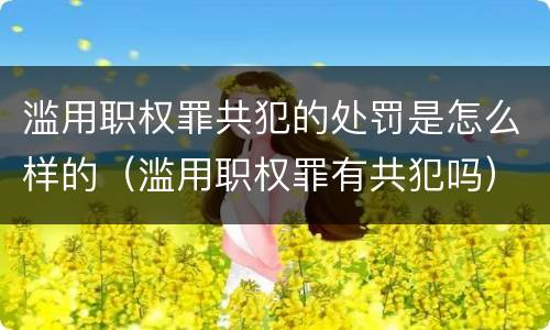 滥用职权罪共犯的处罚是怎么样的（滥用职权罪有共犯吗）