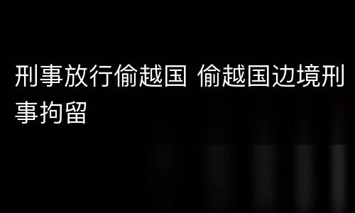 刑事放行偷越国 偷越国边境刑事拘留