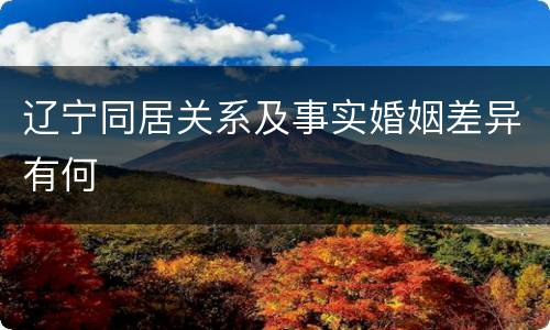 辽宁同居关系及事实婚姻差异有何