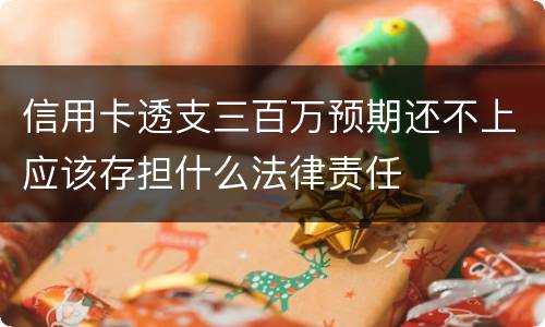 信用卡透支三百万预期还不上应该存担什么法律责任