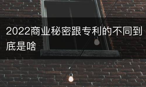 2022商业秘密跟专利的不同到底是啥