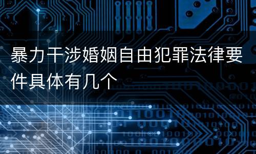 暴力干涉婚姻自由犯罪法律要件具体有几个