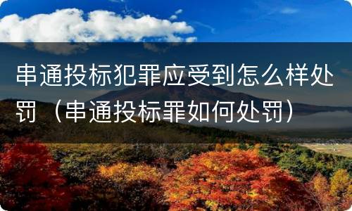 串通投标犯罪应受到怎么样处罚（串通投标罪如何处罚）