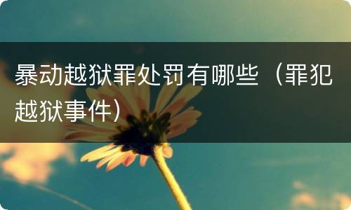 暴动越狱罪处罚有哪些（罪犯越狱事件）