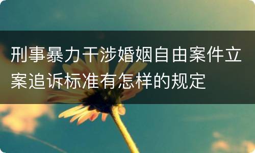 刑事暴力干涉婚姻自由案件立案追诉标准有怎样的规定