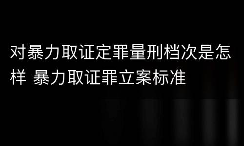 对暴力取证定罪量刑档次是怎样 暴力取证罪立案标准