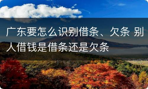 广东要怎么识别借条、欠条 别人借钱是借条还是欠条