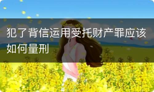犯了背信运用受托财产罪应该如何量刑