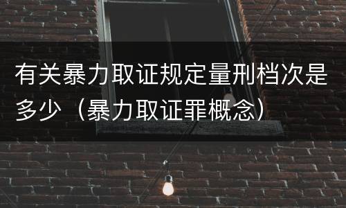 有关暴力取证规定量刑档次是多少（暴力取证罪概念）