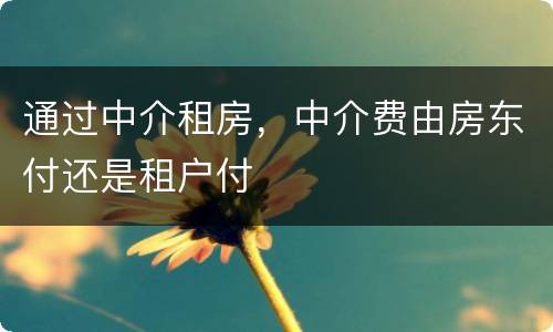 通过中介租房，中介费由房东付还是租户付