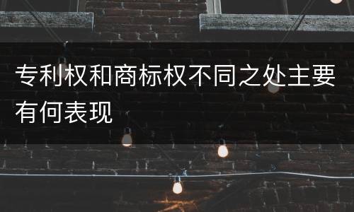 专利权和商标权不同之处主要有何表现