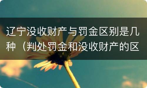 辽宁没收财产与罚金区别是几种（判处罚金和没收财产的区别）