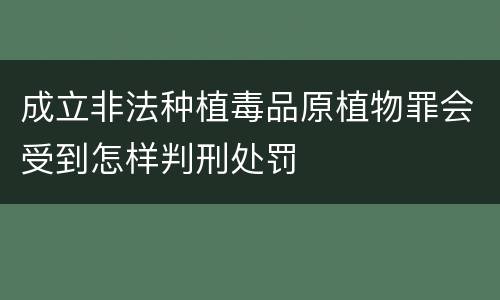 成立非法种植毒品原植物罪会受到怎样判刑处罚