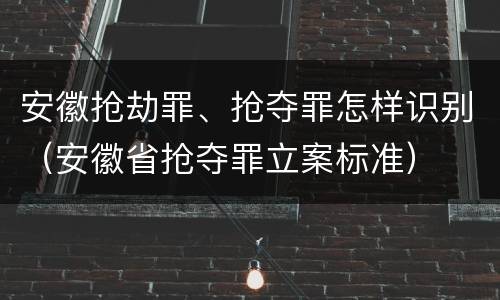 安徽抢劫罪、抢夺罪怎样识别（安徽省抢夺罪立案标准）