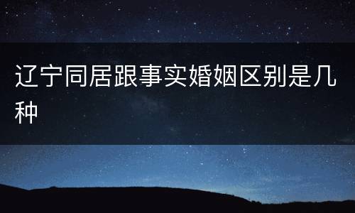 辽宁同居跟事实婚姻区别是几种