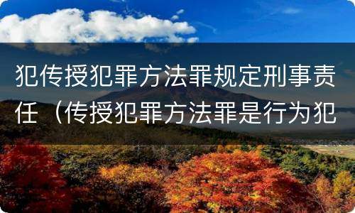 犯传授犯罪方法罪规定刑事责任（传授犯罪方法罪是行为犯吗）