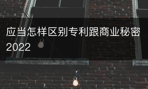 应当怎样区别专利跟商业秘密2022
