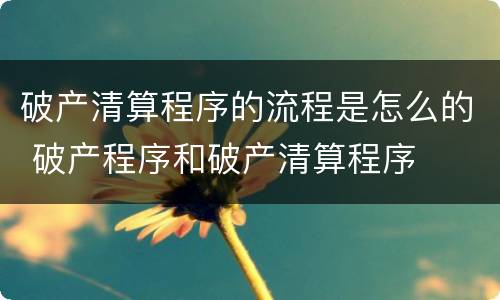 破产清算程序的流程是怎么的 破产程序和破产清算程序