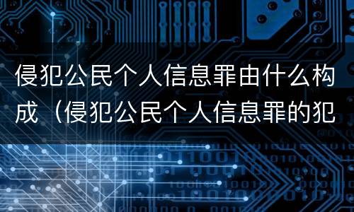 侵犯公民个人信息罪由什么构成（侵犯公民个人信息罪的犯罪构成）