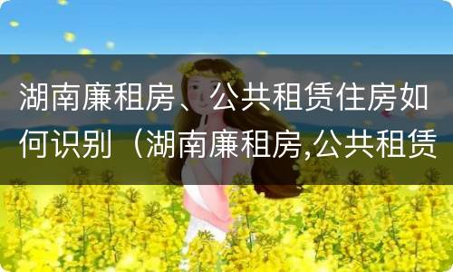 湖南廉租房、公共租赁住房如何识别（湖南廉租房,公共租赁住房如何识别真假）