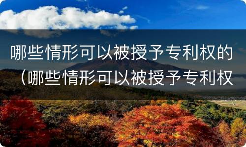哪些情形可以被授予专利权的（哪些情形可以被授予专利权的规定）