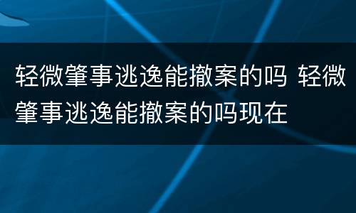 轻微肇事逃逸能撤案的吗 轻微肇事逃逸能撤案的吗现在