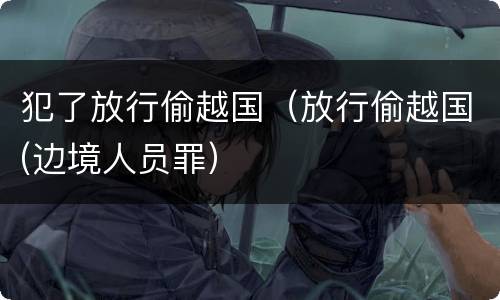 犯了放行偷越国（放行偷越国(边境人员罪）