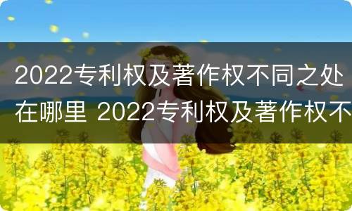 2022专利权及著作权不同之处在哪里 2022专利权及著作权不同之处在哪里查询