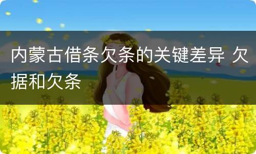 内蒙古借条欠条的关键差异 欠据和欠条