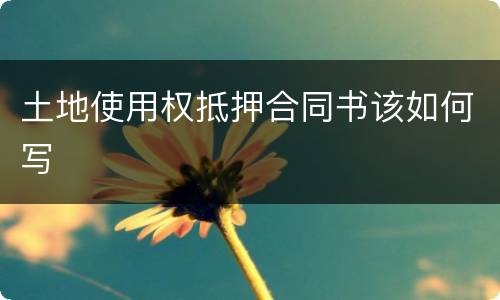 土地使用权抵押合同书该如何写
