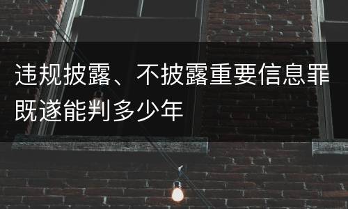 违规披露、不披露重要信息罪既遂能判多少年