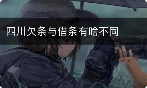 四川欠条与借条有啥不同