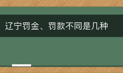 辽宁罚金、罚款不同是几种