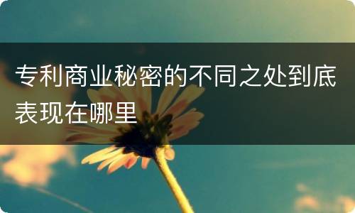 专利商业秘密的不同之处到底表现在哪里