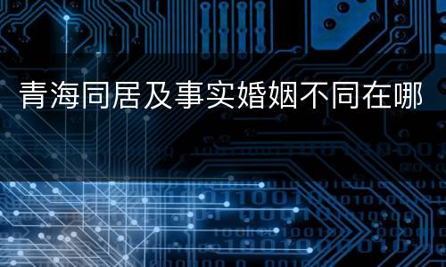 青海同居及事实婚姻不同在哪
