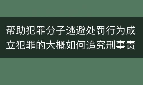帮助犯罪分子逃避处罚行为成立犯罪的大概如何追究刑事责任