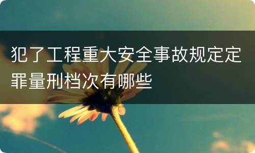 犯了工程重大安全事故规定定罪量刑档次有哪些