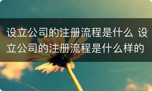 设立公司的注册流程是什么 设立公司的注册流程是什么样的