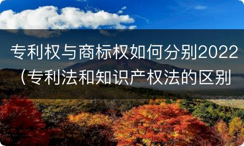 专利权与商标权如何分别2022（专利法和知识产权法的区别）