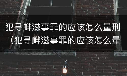 犯寻衅滋事罪的应该怎么量刑（犯寻衅滋事罪的应该怎么量刑呢）