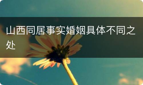 山西同居事实婚姻具体不同之处