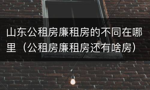 山东公租房廉租房的不同在哪里（公租房廉租房还有啥房）