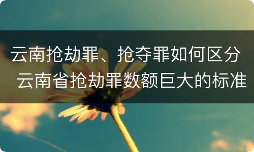 云南抢劫罪、抢夺罪如何区分 云南省抢劫罪数额巨大的标准