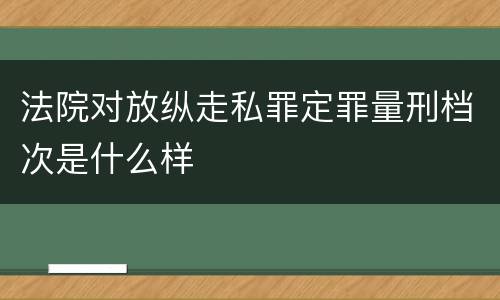 法院对放纵走私罪定罪量刑档次是什么样