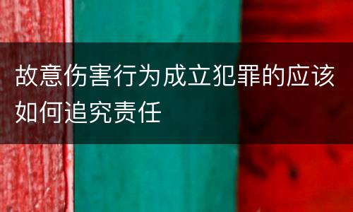 故意伤害行为成立犯罪的应该如何追究责任