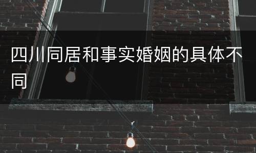 四川同居和事实婚姻的具体不同
