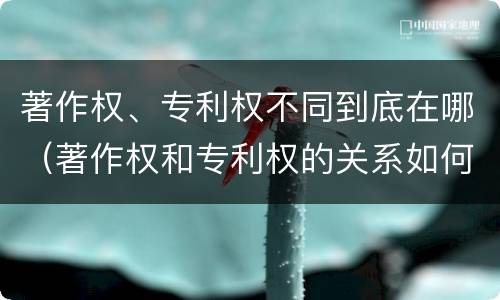 著作权、专利权不同到底在哪（著作权和专利权的关系如何）